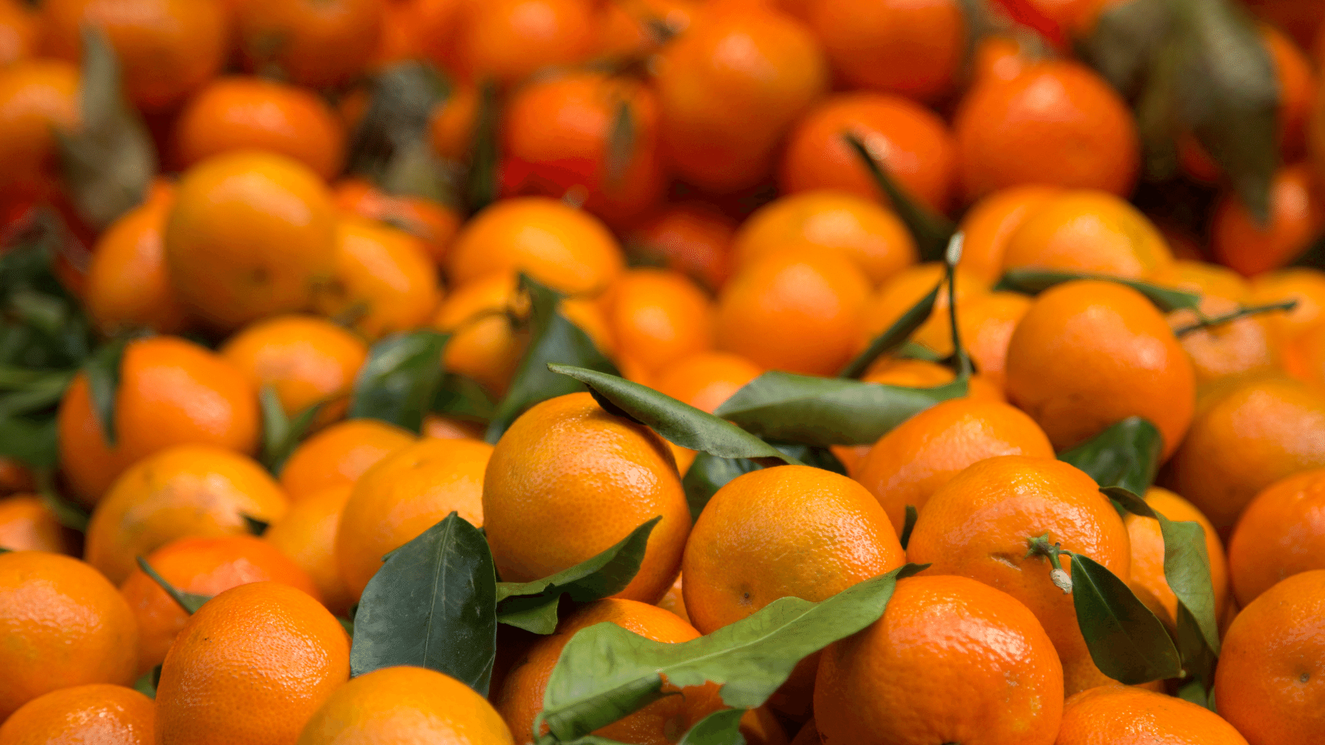 Clementine Natura Siberica Planeta Organica Organic Shop