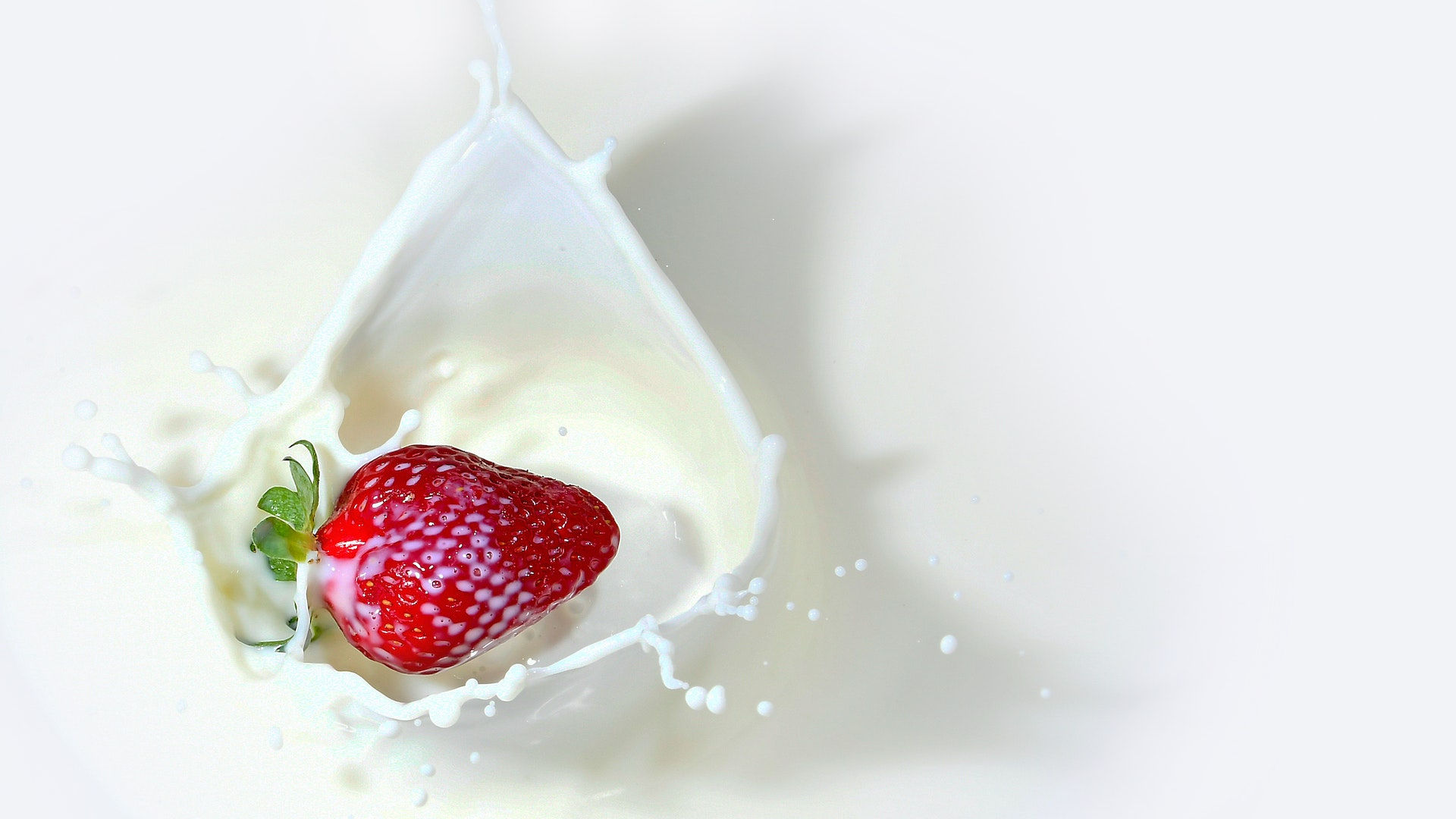 Natura Siberica Planeta Organica Organic Shop Ingredients Milk Protein