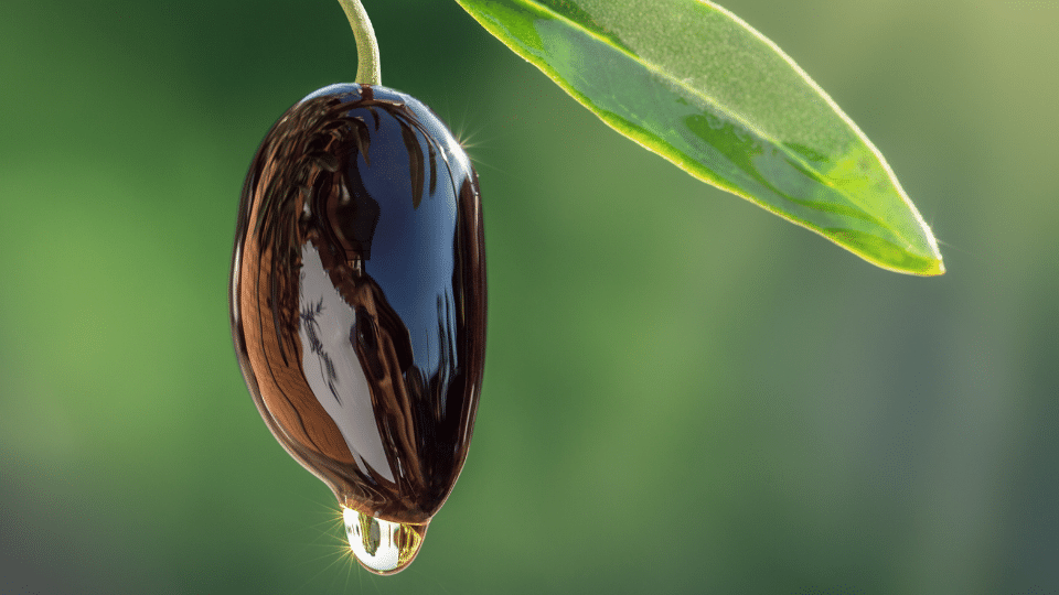 Olive Oil Natura Siberica Planeta Organica Organic Shop Ingredients