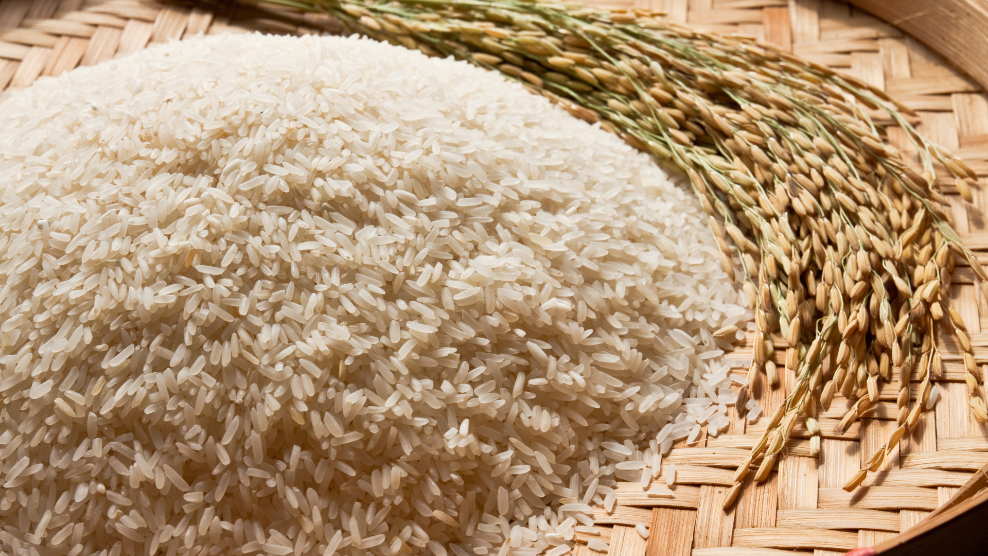 Natura Siberica Planeta Organica Ogranic Shop Ingredients Hydrolysed Rice