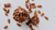 Natura Siberica Planeta Organica Organic Shop Ingredients Almond Oil 