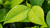 Natura Siberica Planeta Organica Organic Shop Ingredients Aquaxyl