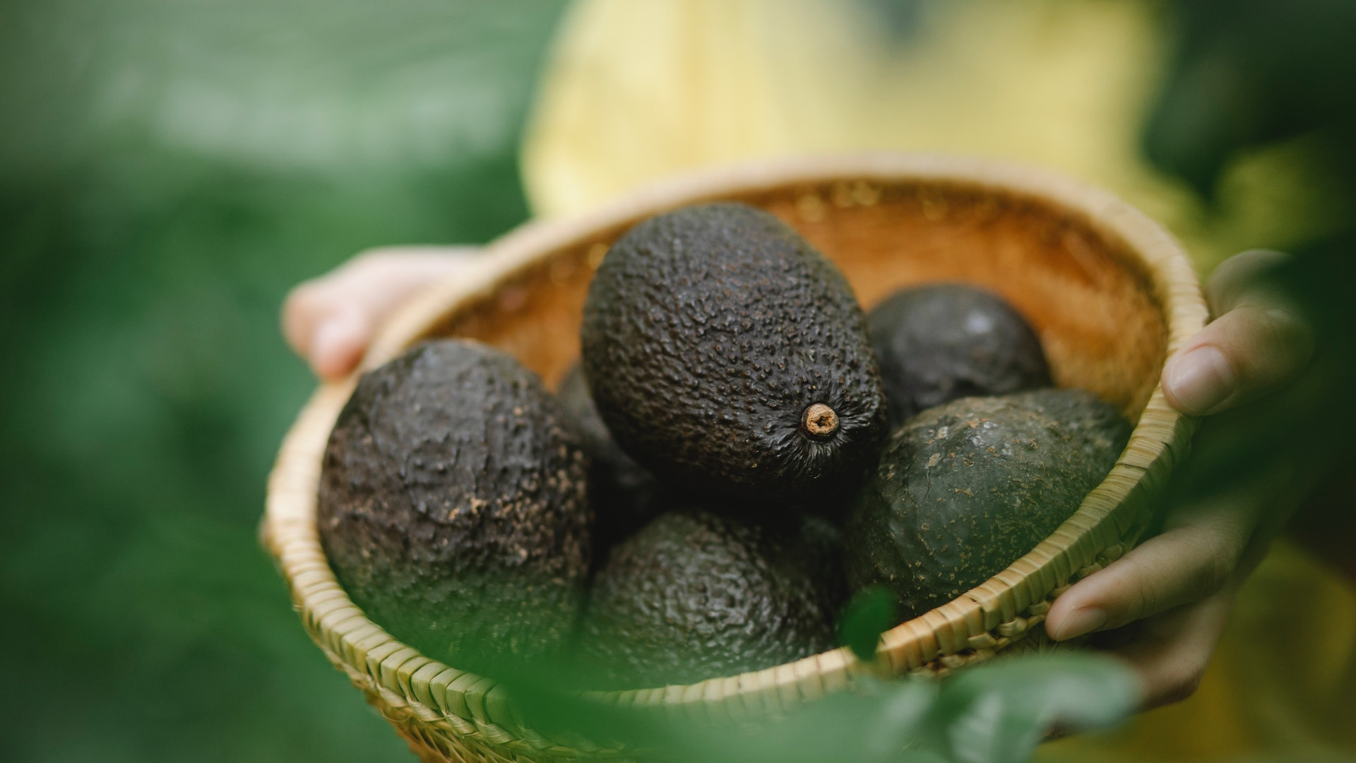 Natura Siberica Ingredients Avocado Planeta Organica Organic Shop