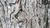 Natura Siberica Planeta Organica Organic Shop Ingredients Oak Bark