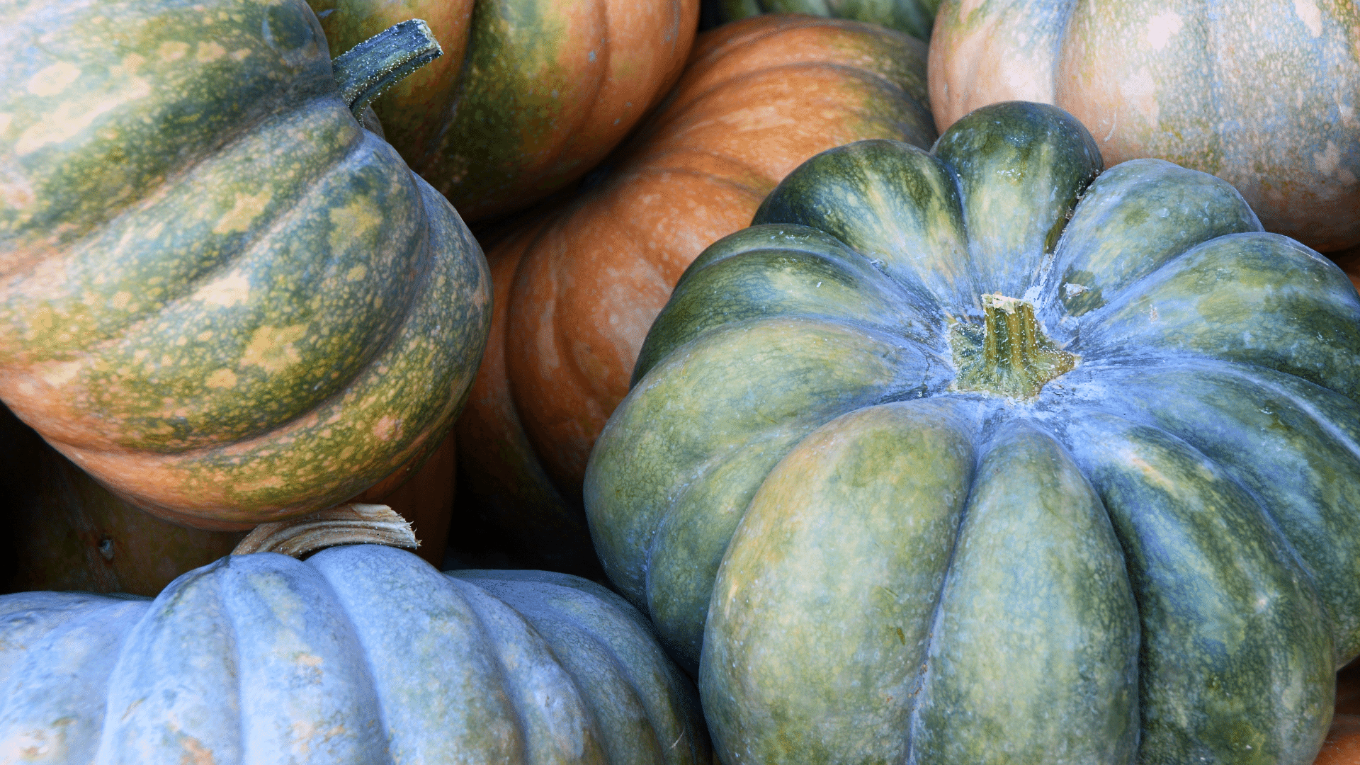 Pumpkin Natura Siberica Planeta Organica Organic Shop