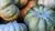 Pumpkin Natura Siberica Planeta Organica Organic Shop