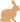 custom-icon