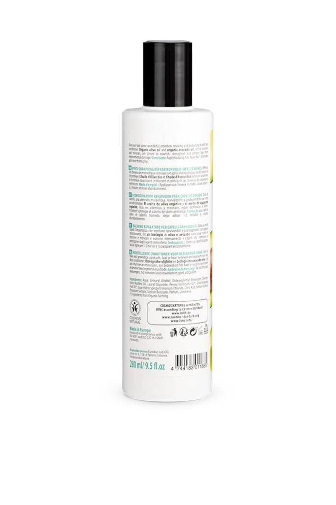 Avocado and Olive Conditioner